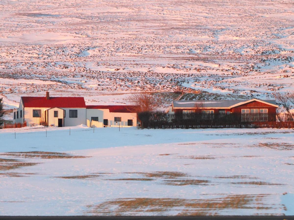 Apartment Nethra-Vatnshorn Hvammstangi Exteriér fotografie